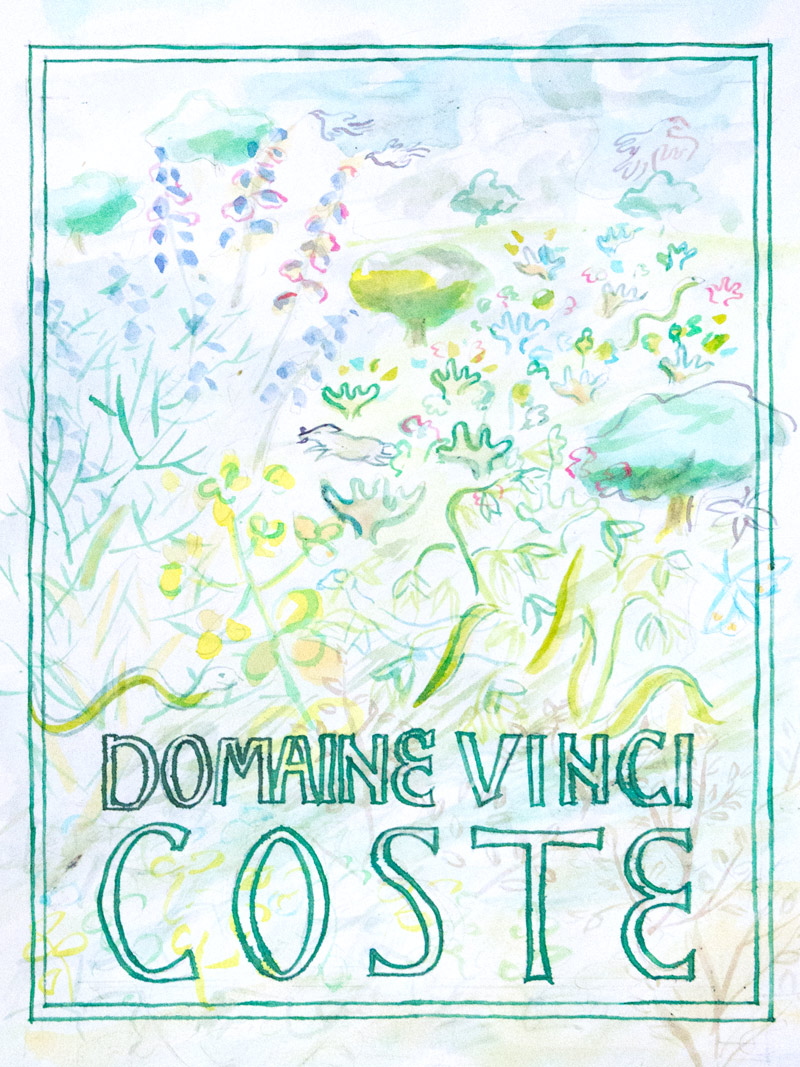 Domaine Vinci Wine label