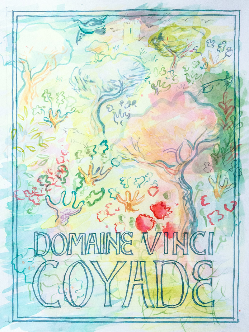 Domaine Vinci Wine label