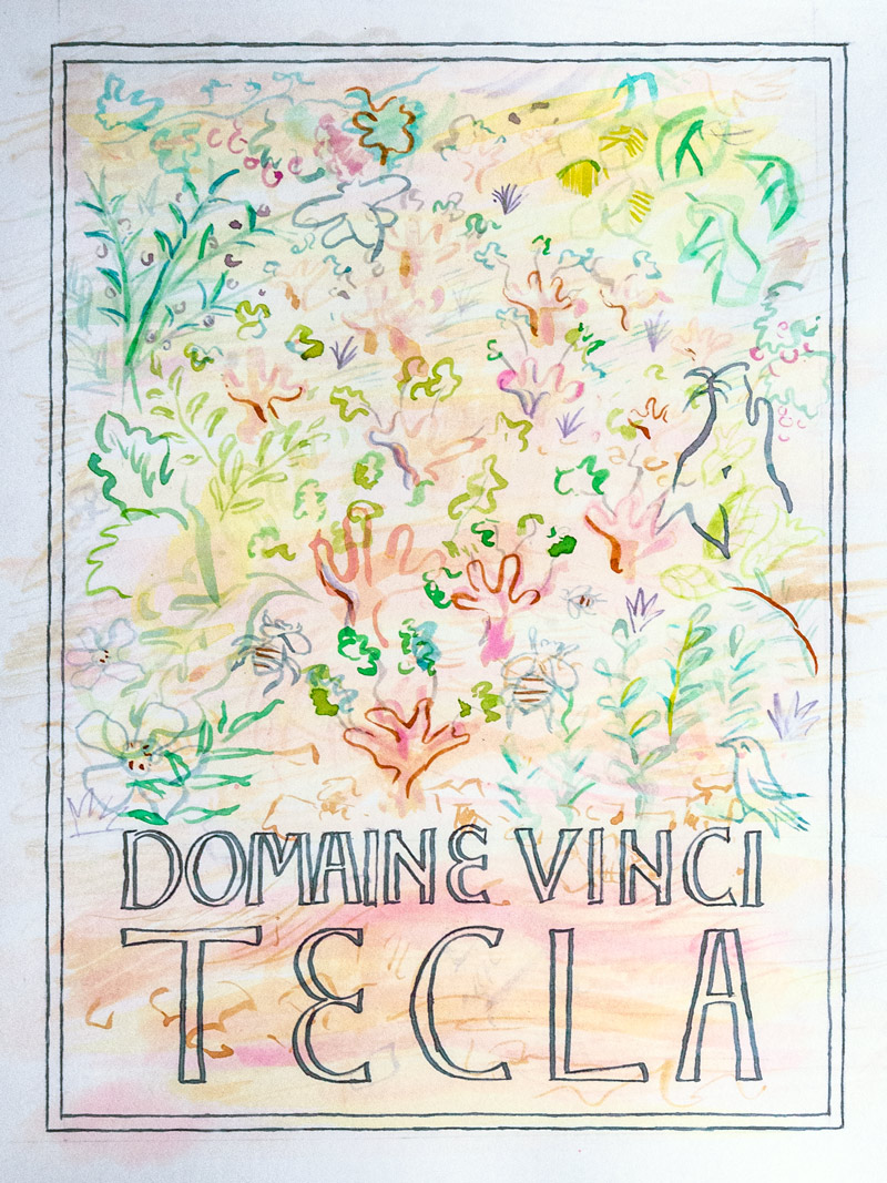 Domaine Vinci Rose Wine label